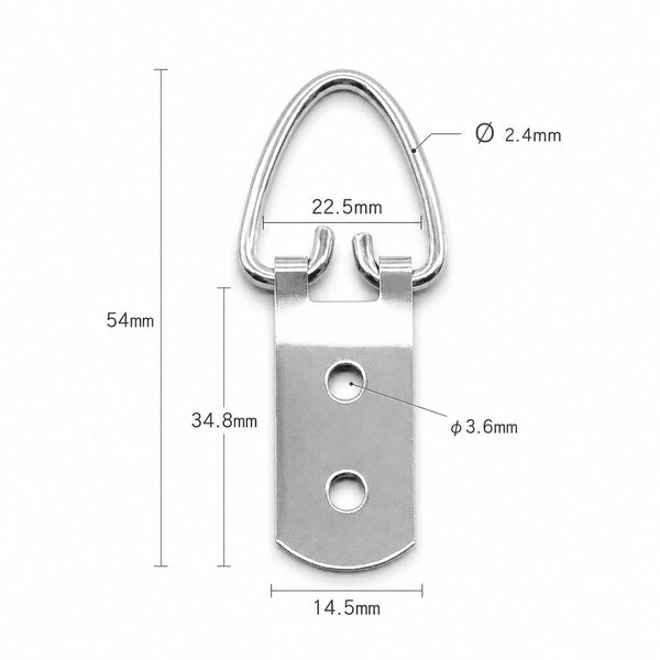FLAZUP Large D-Ring Picture Hangers with Screws